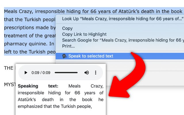 Вибраний текст у мовлення з веб-магазину Chrome для запуску за допомогою OffiDocs Chromium онлайн