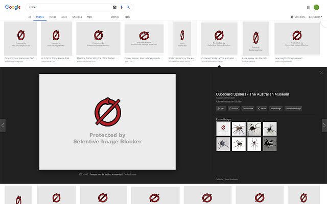 Selective Image Blocker  from Chrome web store to be run with OffiDocs Chromium online