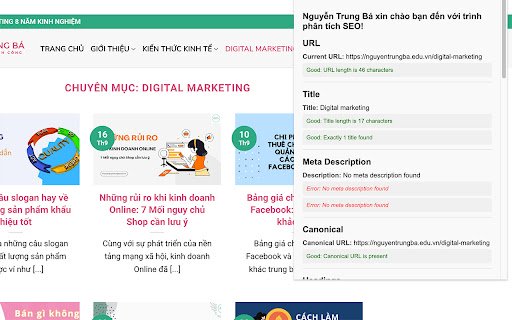 SEO Analyzer by Nguyen Trung Ba  from Chrome web store to be run with OffiDocs Chromium online