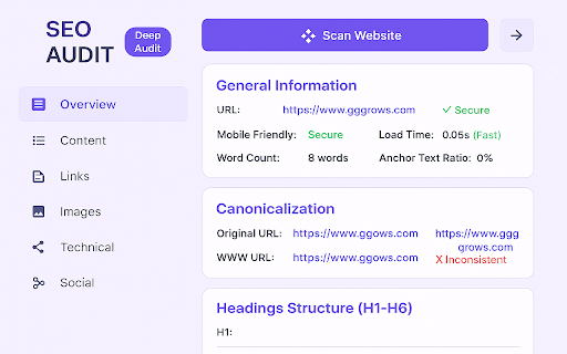 SEO AUDIT  from Chrome web store to be run with OffiDocs Chromium online