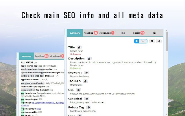SEO META 1 COPY از فروشگاه وب کروم برای اجرای آنلاین با OffiDocs Chromium