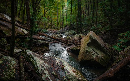Serene Forest Stream with Mossy Rocks  from Chrome web store to be run with OffiDocs Chromium online