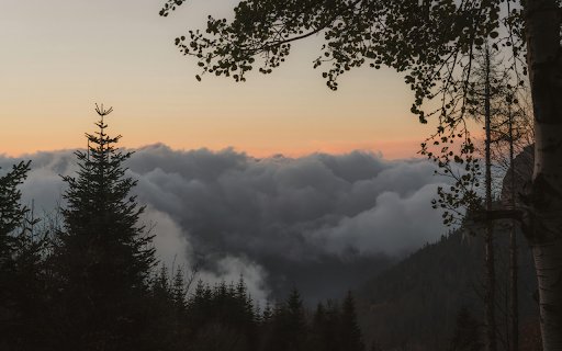 Serene Mountain Sunset with Clouded Forest View  from Chrome web store to be run with OffiDocs Chromium online