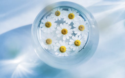 Serenity in a Glass  from Chrome web store to be run with OffiDocs Chromium online