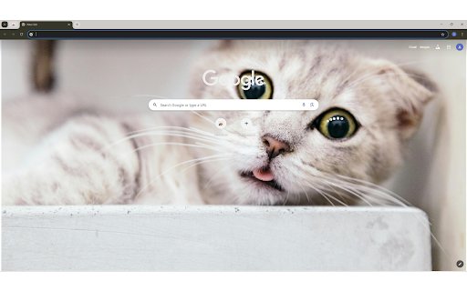 Shallow Focus Photography Of Cat from Chrome web store to be run with OffiDocs Chromium online Shallow Focus Photography Of Cat from Chrome web store to be run with OffiDocs Chromium online