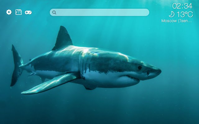 Chrome ウェブストアの Sharks HD の新しい無料タブ テーマは、OffiDocs Chromium オンラインで実行可能