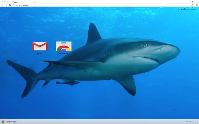 Shark-thema van de Chrome-webwinkel om online met OffiDocs Chromium te worden uitgevoerd