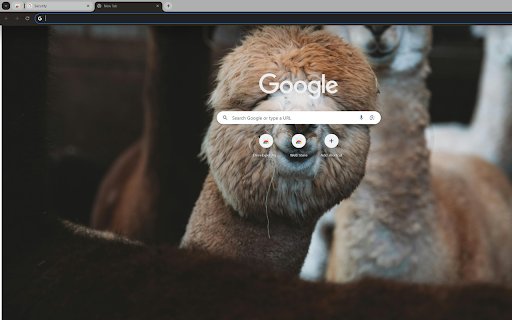 sheep frolicking in a vibrant meadow  from Chrome web store to be run with OffiDocs Chromium online