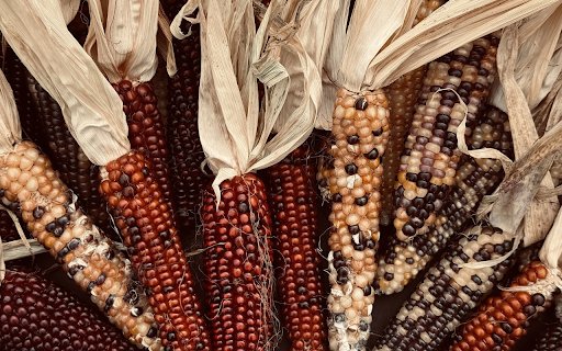 Shiny old corn cobs from Chrome web store to be run with OffiDocs Chromium online Shiny old corn cobs from Chrome web store to be run with OffiDocs Chromium online