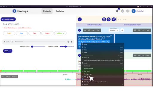 Shoonya Flagger AI4Bharat  from Chrome web store to be run with OffiDocs Chromium online