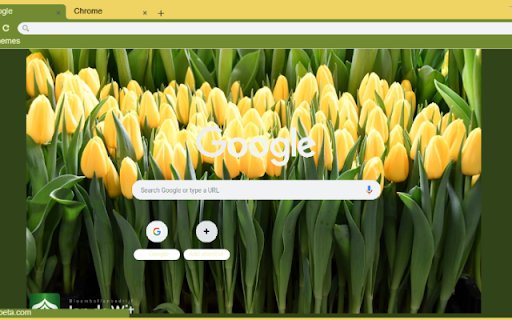 Shooting Star  from Chrome web store to be run with OffiDocs Chromium online