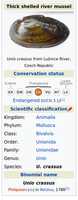 Gratis download Screenshot 2019 09 30 Unio Crassus Wikipedia gratis foto of afbeelding om te bewerken met GIMP online afbeeldingseditor