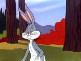 Free download Screenshots | Rabbit Fire (1951) 7 of 12 free photo or picture to be edited with GIMP online image editor