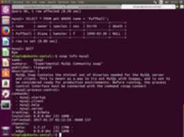 Free download Screenshot_ubuntu-xenial-20170228_2017-02-28_09:32:17 free photo or picture to be edited with GIMP online image editor