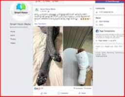 Free download screenshot-www.facebook.com-2019.06.13-12-19-54 free photo or picture to be edited with GIMP online image editor