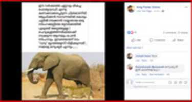 Free download screenshot-www.facebook.com-2019.06.24-11-49-41 free photo or picture to be edited with GIMP online image editor