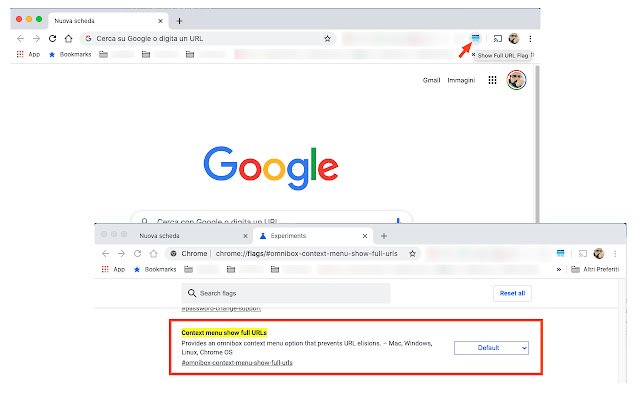 Show Full URL Flag  from Chrome web store to be run with OffiDocs Chromium online
