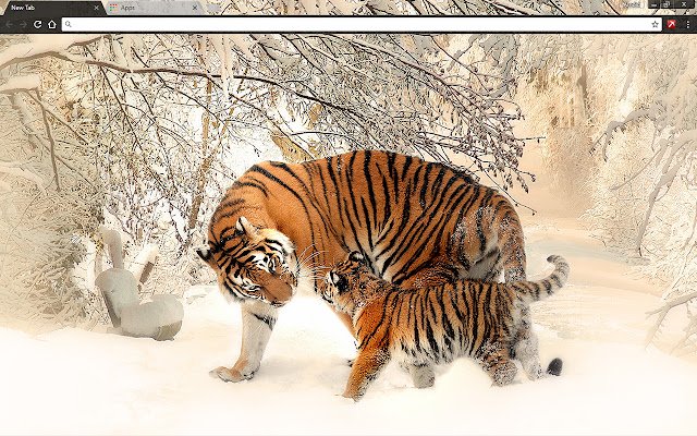 Sibirische Tiger aus dem Chrome-Webshop, die mit OffiDocs Chromium online ausgeführt werden sollen