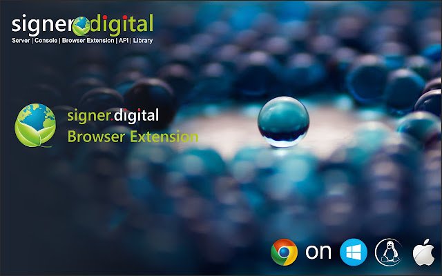 Signer.Assinatura digital digital, PKI da Chrome Web Store para ser executado com OffiDocs Chromium online