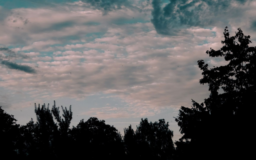Silhouetted Trees Against Cloudy Sky  from Chrome web store to be run with OffiDocs Chromium online