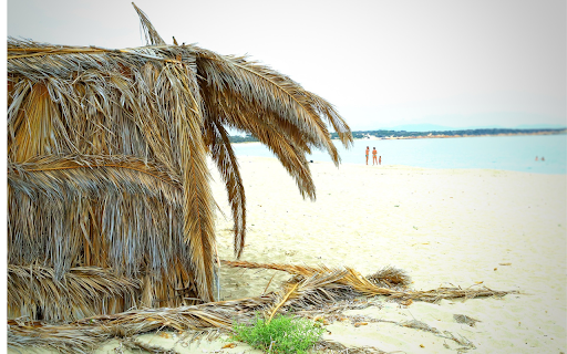 Simple leaf tent on the beach  from Chrome web store to be run with OffiDocs Chromium online
