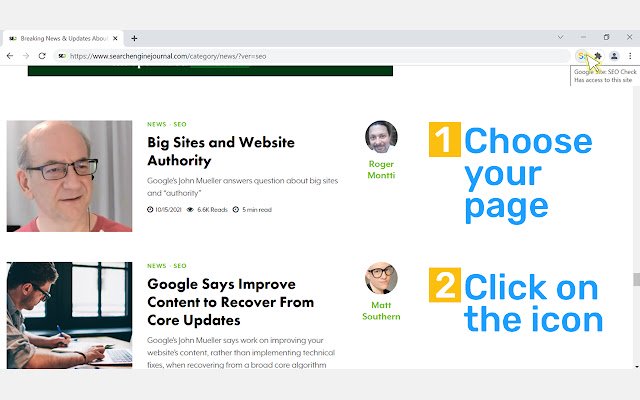 Site: Seo Check in Google vanuit de Chrome-webwinkel om te worden uitgevoerd met OffiDocs Chromium online