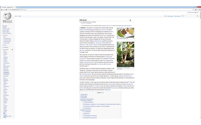 Skinny  from Chrome web store to be run with OffiDocs Chromium online