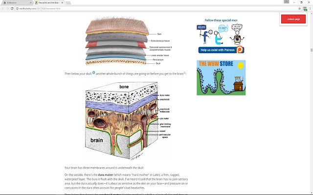 Scrolly dari kedai web Chrome untuk dijalankan dengan OffiDocs Chromium dalam talian