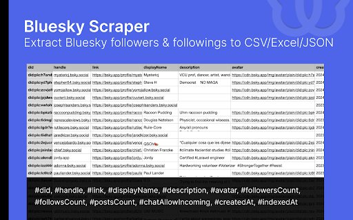 SkyScraper Bluesky Follow Export Tool  from Chrome web store to be run with OffiDocs Chromium online