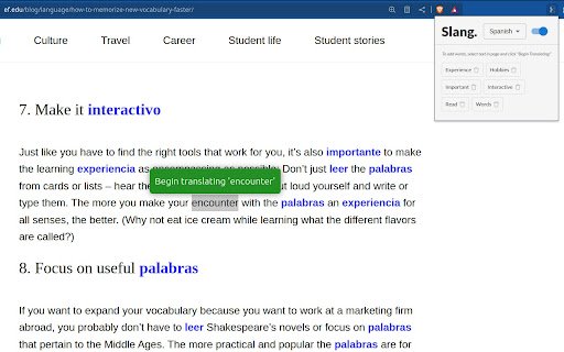 Slang  from Chrome web store to be run with OffiDocs Chromium online