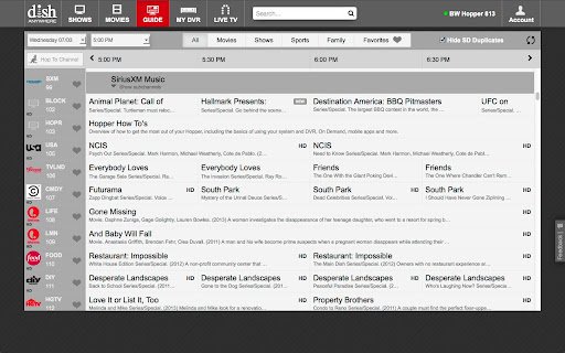 SlingPlayer for DISH Anywhere  from Chrome web store to be run with OffiDocs Chromium online