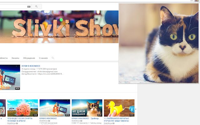 SlivkiShow самое новое видео с канала aus dem Chrome Web Store zur Ausführung mit OffiDocs Chromium online
