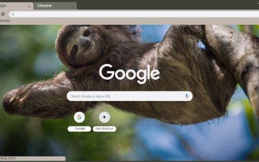 Sloth  from Chrome web store to be run with OffiDocs Chromium online