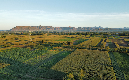 Small fields from Chrome web store to be run with OffiDocs Chromium online Small fields from Chrome web store to be run with OffiDocs Chromium online