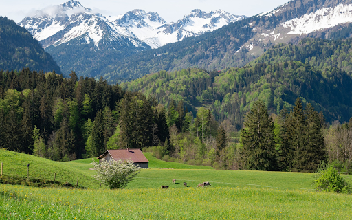 Small house on green steppe  from Chrome web store to be run with OffiDocs Chromium online