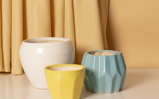 Small plant pot  from Chrome web store to be run with OffiDocs Chromium online