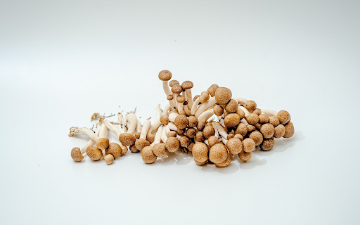 Small, sweet smelling mushrooms  from Chrome web store to be run with OffiDocs Chromium online