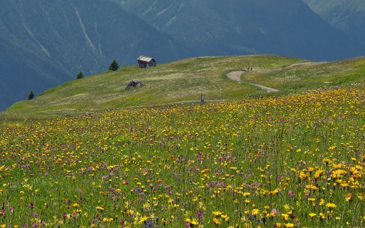 Small tent next to the flower hill  from Chrome web store to be run with OffiDocs Chromium online Small tent next to the flower hill  from Chrome web store to be run with OffiDocs Chromium online