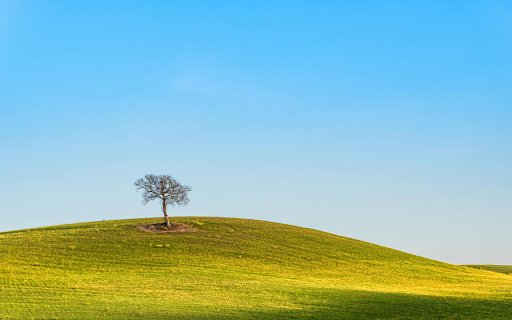 Small Tree on Grassy Hill  from Chrome web store to be run with OffiDocs Chromium online