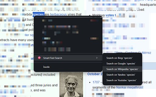 Smart Fast Multiple Search  from Chrome web store to be run with OffiDocs Chromium online