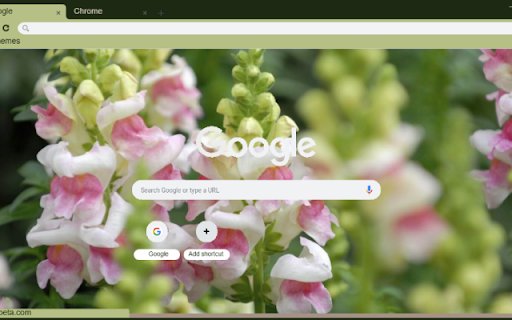 Snapdragon  from Chrome web store to be run with OffiDocs Chromium online