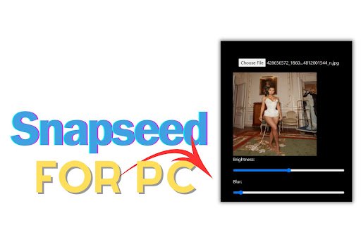 Snapseed for Pc,Windows and Mac (Free Download)  from Chrome web store to be run with OffiDocs Chromium online