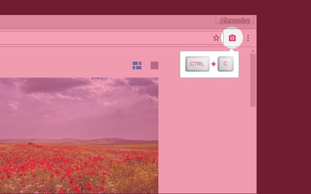 SnapSite  from Chrome web store to be run with OffiDocs Chromium online