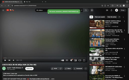 SnapStudy  from Chrome web store to be run with OffiDocs Chromium online