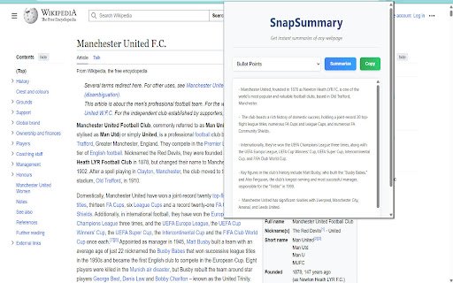 SnapSummary  from Chrome web store to be run with OffiDocs Chromium online