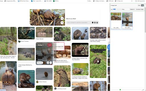 SnipSnap The ultimate selection tool from Chrome web store to be run with OffiDocs Chromium online SnipSnap The ultimate selection tool from Chrome web store to be run with OffiDocs Chromium online