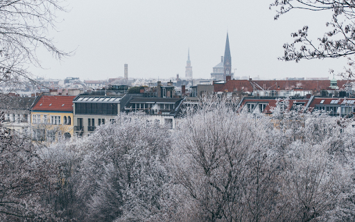 Snow covered garden  from Chrome web store to be run with OffiDocs Chromium online