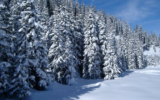 Snow covered Pine Trees  from Chrome web store to be run with OffiDocs Chromium online