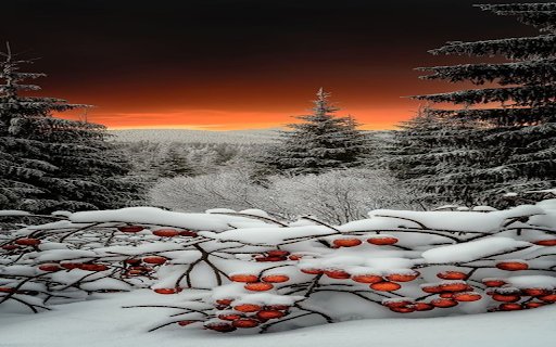 Snow covered pine tree wallpaper from Chrome web store to be run with OffiDocs Chromium online Snow covered pine tree wallpaper from Chrome web store to be run with OffiDocs Chromium online
