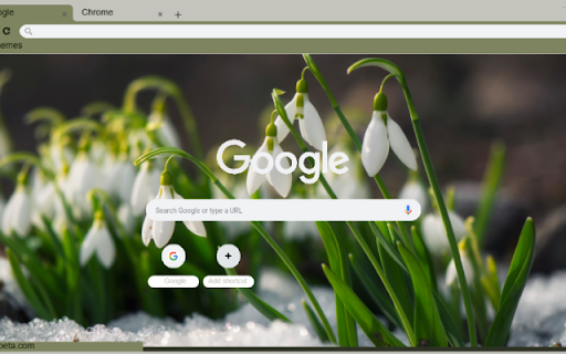 Snowdrop  from Chrome web store to be run with OffiDocs Chromium online
